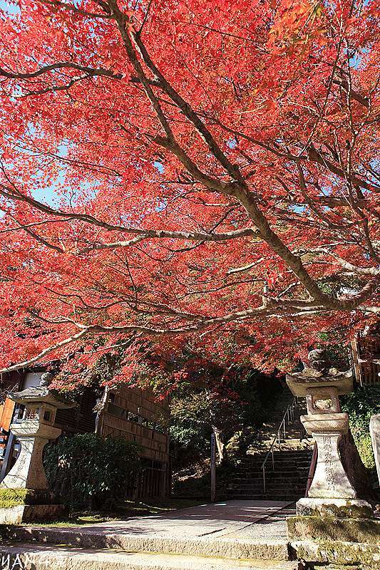 京都嵐山 小倉山二尊院 嵐山知名紅葉景點 Yang漾的趴趴照 痞客邦 京都嵐山 小倉山二尊院 嵐山知名紅葉景點 Yang漾的趴趴照 痞客邦