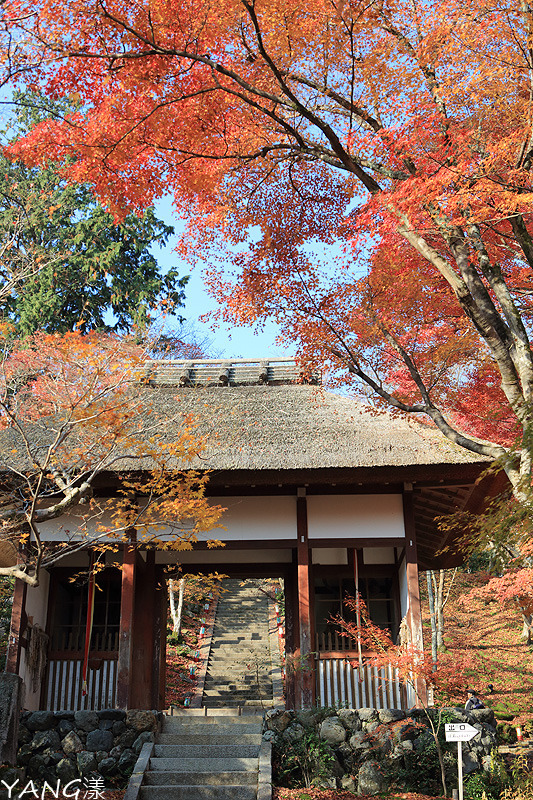 常寂光寺