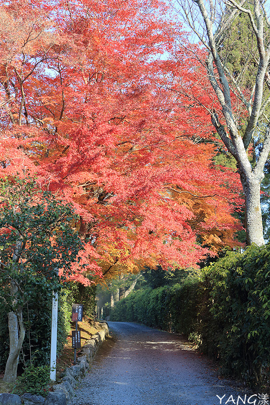 常寂光寺