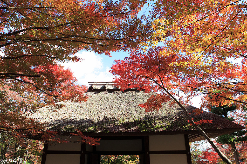 常寂光寺