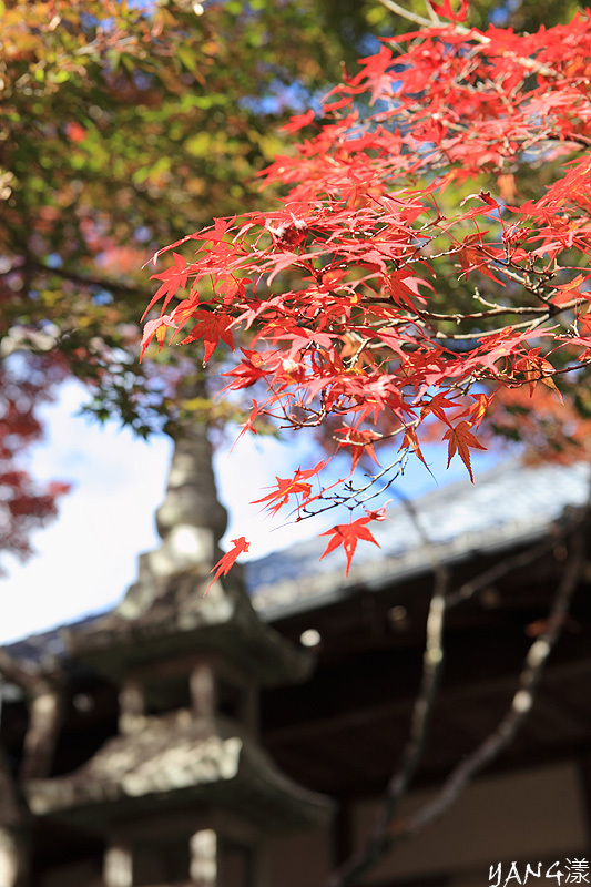 常寂光寺