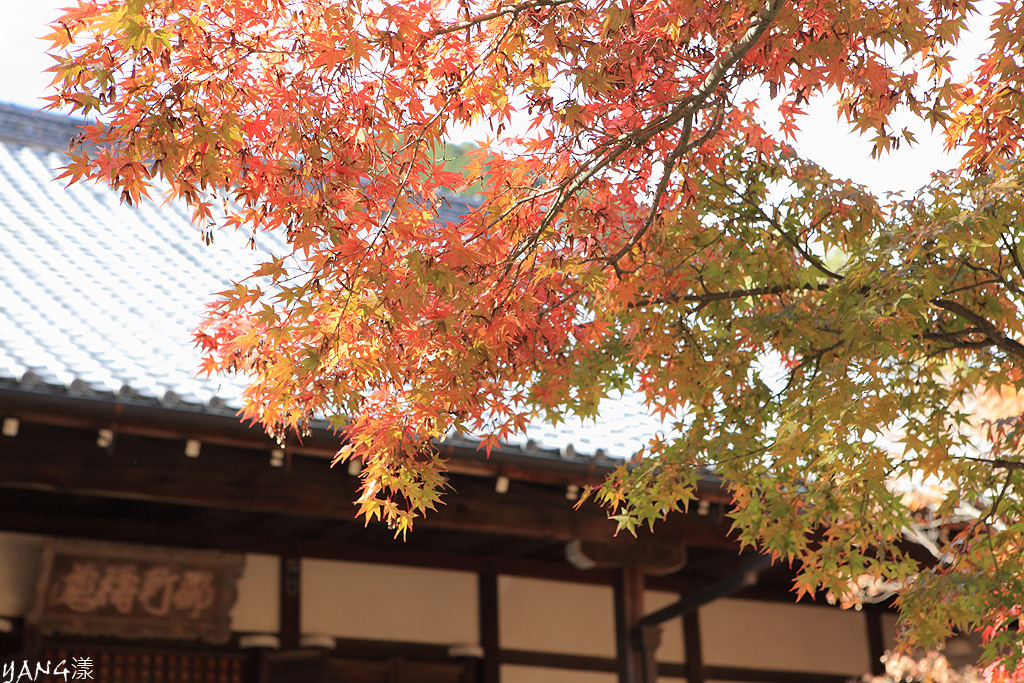 常寂光寺