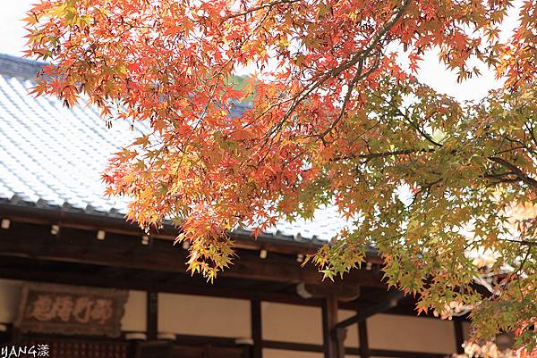 常寂光寺