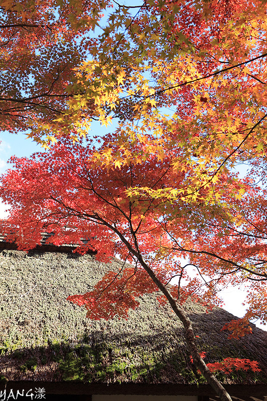 常寂光寺