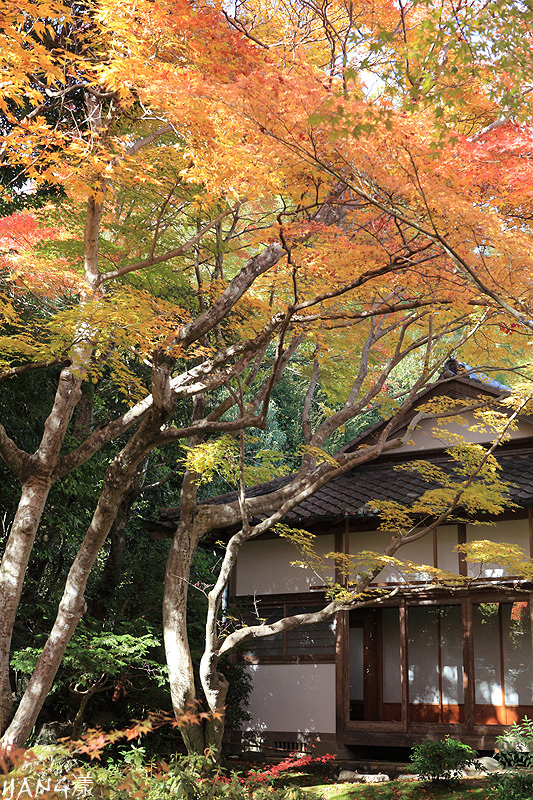 常寂光寺