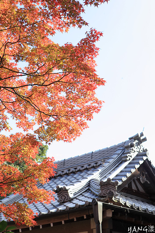 常寂光寺