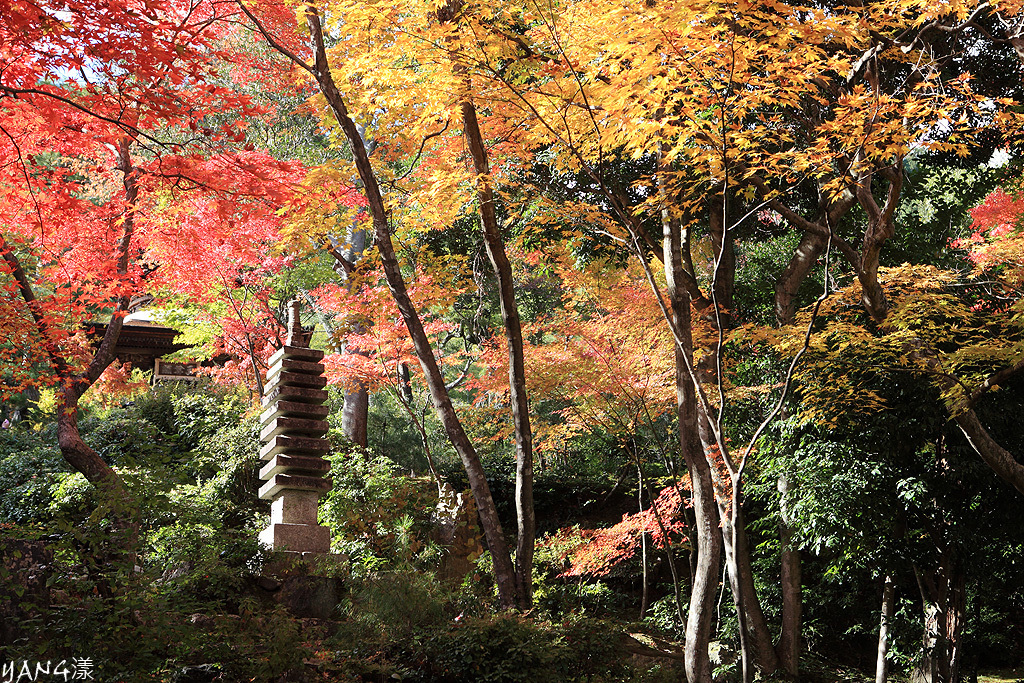 常寂光寺