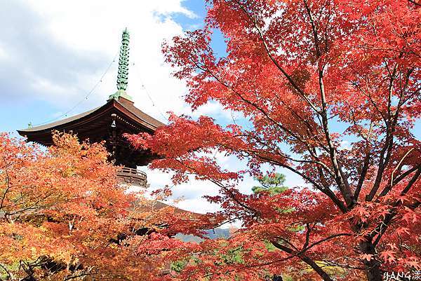 京都嵐山 小倉山常寂光寺 嵐山賞楓必去景點 Yang漾的趴趴照 痞客邦 京都嵐山 小倉山常寂光寺 嵐山賞楓必去景點 Yang漾的趴趴照 痞客邦