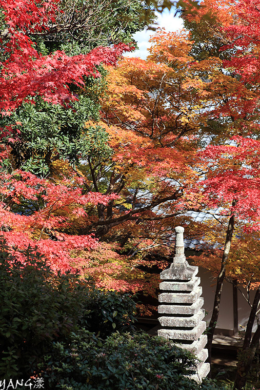 常寂光寺