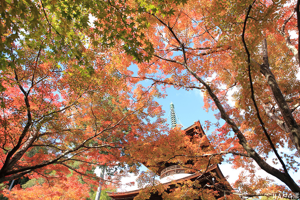 常寂光寺