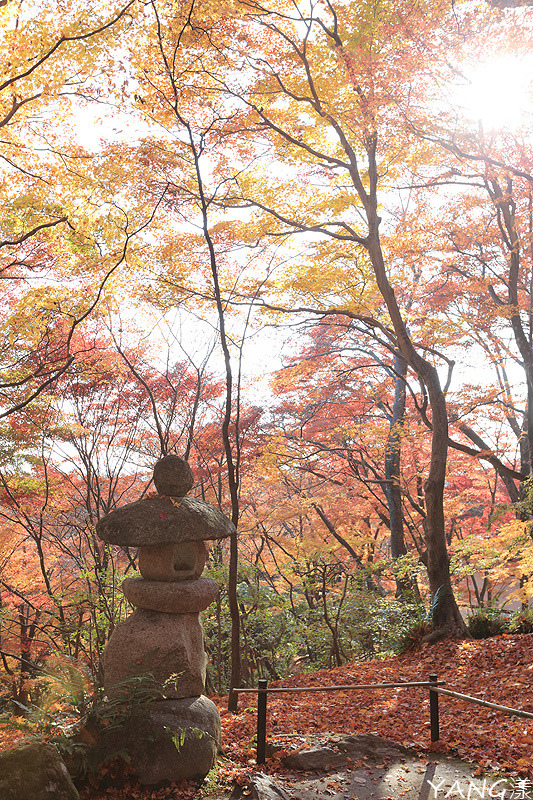 常寂光寺