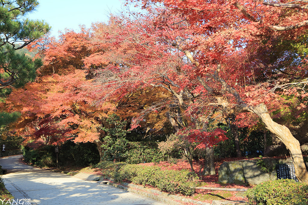 常寂光寺