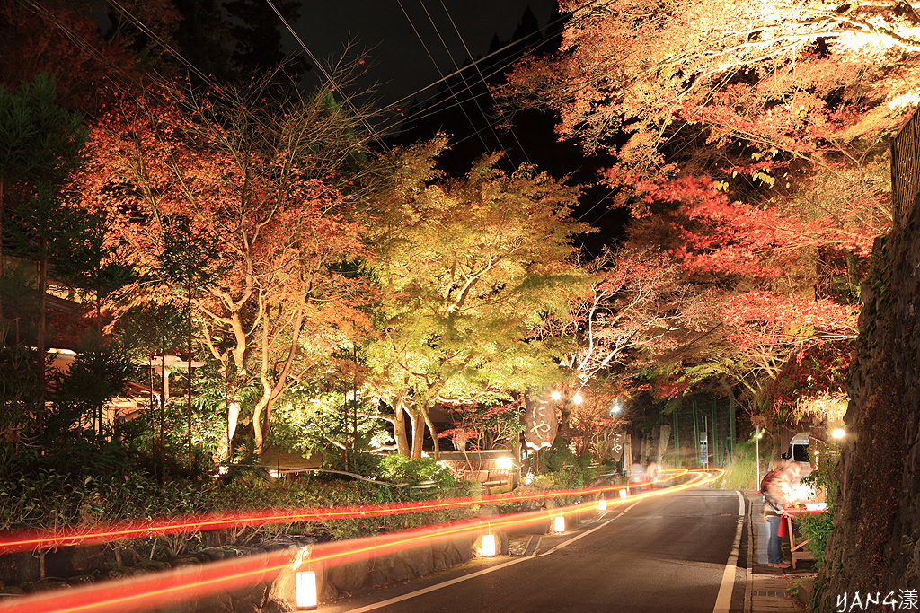 【京都紅葉】搭叡電穿越紅葉隧道，到貴船神社賞紅葉、求水籤