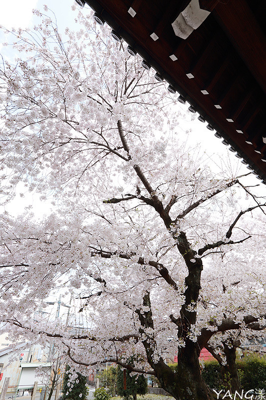 立本寺