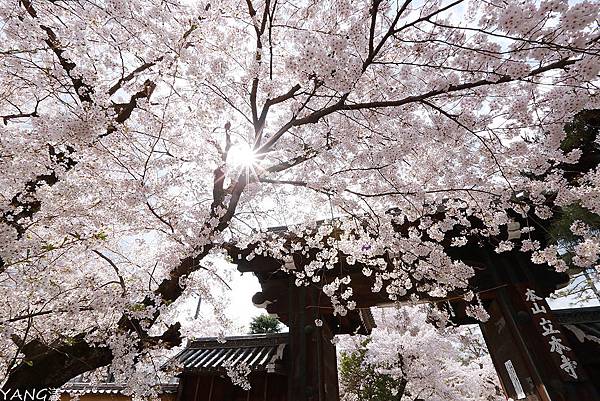 立本寺