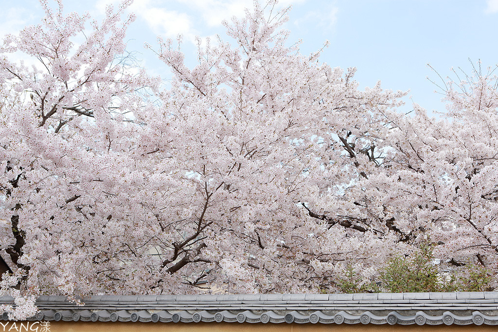 立本寺