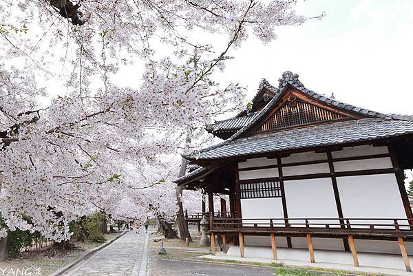 立本寺