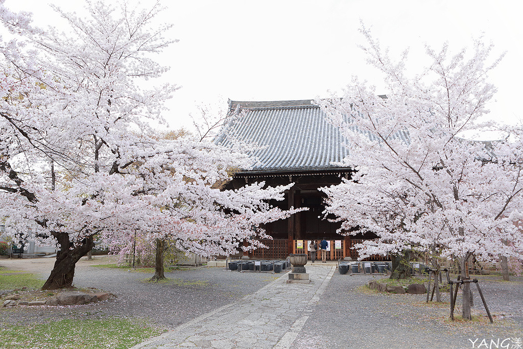 立本寺