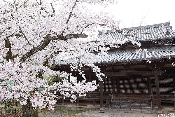 立本寺