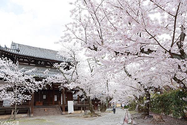 立本寺