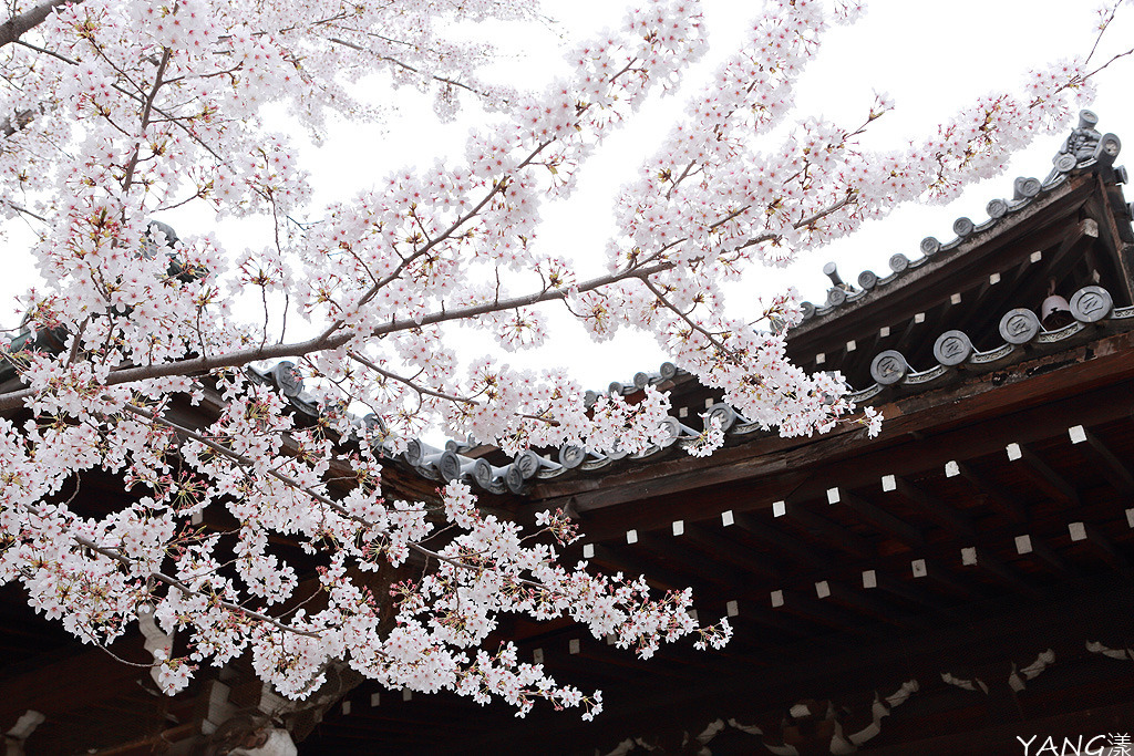 立本寺