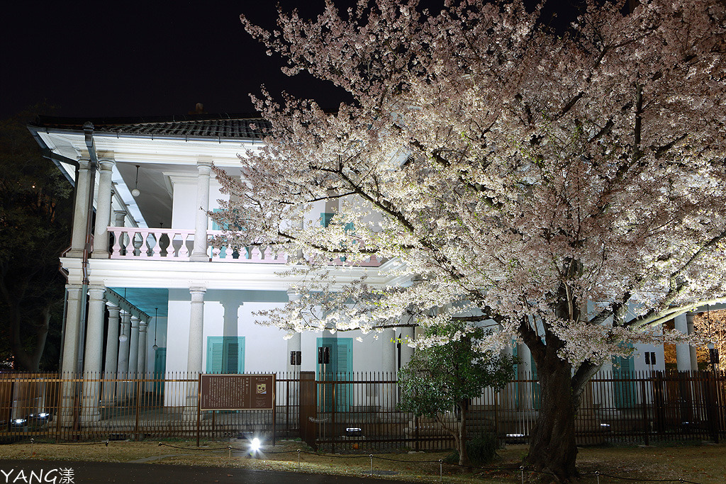 毛馬櫻之宮公園