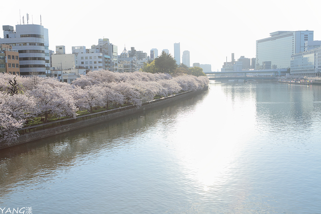 南天滿公園