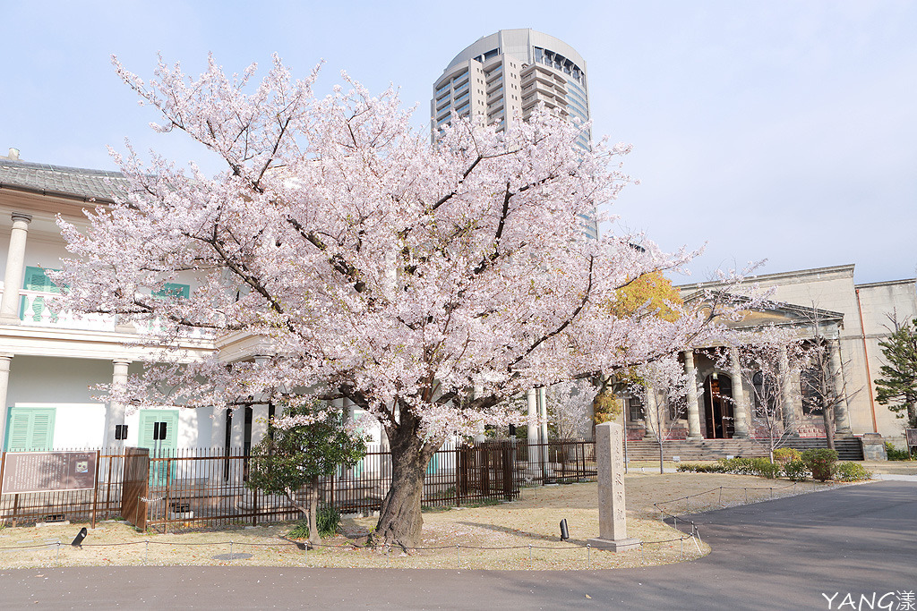 毛馬櫻之宮公園