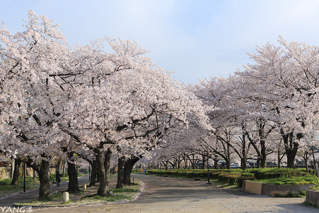 毛馬櫻之宮公園