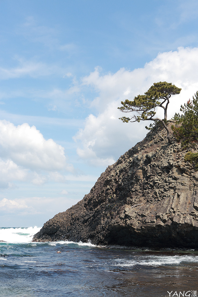 越前松島