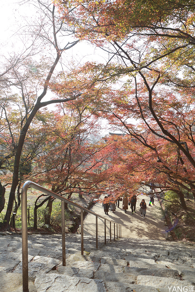 福岡竈門神社