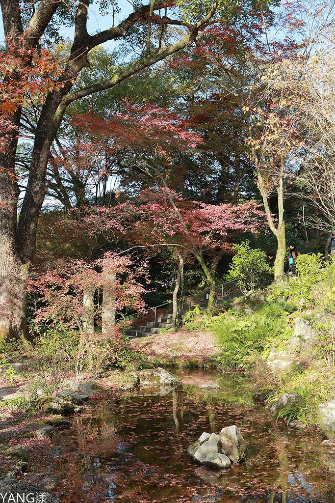 福岡竈門神社