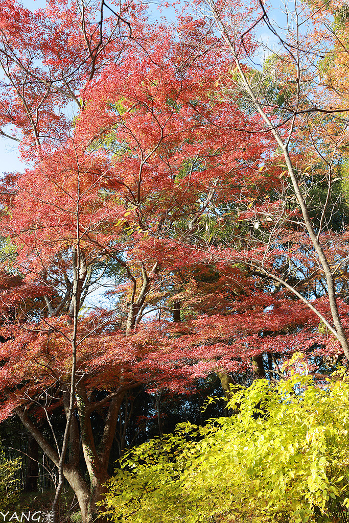 福岡竈門神社