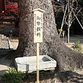 福岡竈門神社