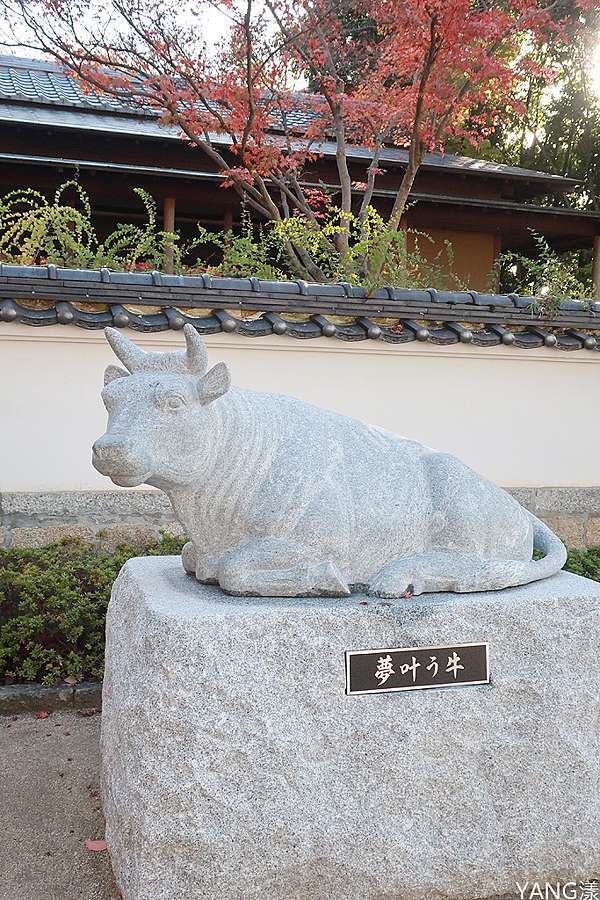 山口 防府天滿宮 毛利氏庭園散策賞紅葉 Yang漾的趴趴照 痞客邦