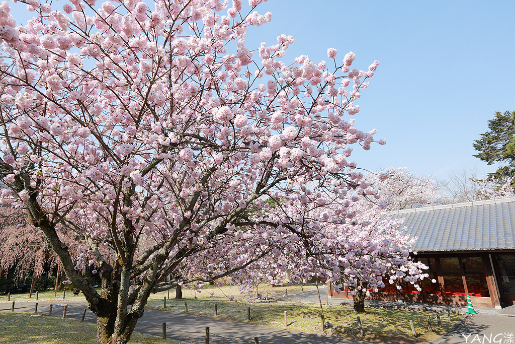 京都醍醐寺