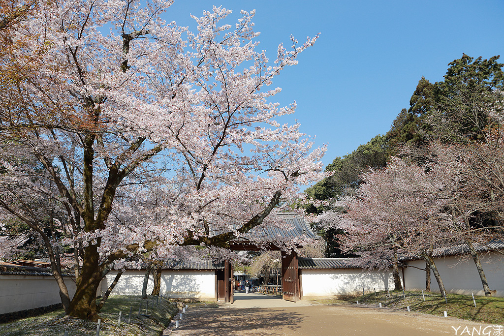 京都醍醐寺