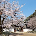 京都醍醐寺