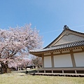 京都醍醐寺