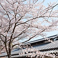 京都醍醐寺