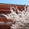 京都醍醐寺