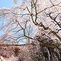 京都醍醐寺