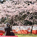 京都醍醐寺