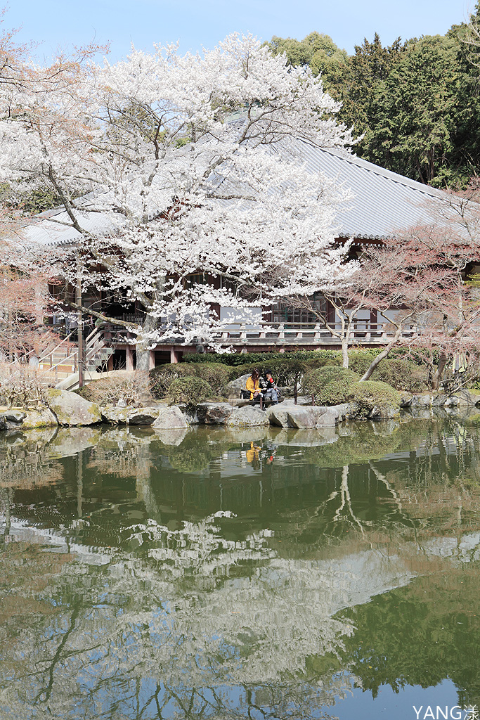 京都醍醐寺