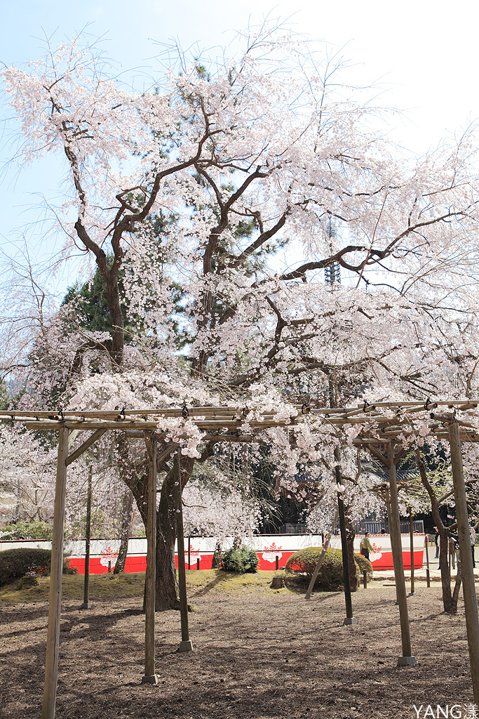 京都醍醐寺