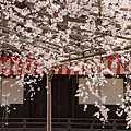 京都醍醐寺