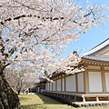 京都醍醐寺