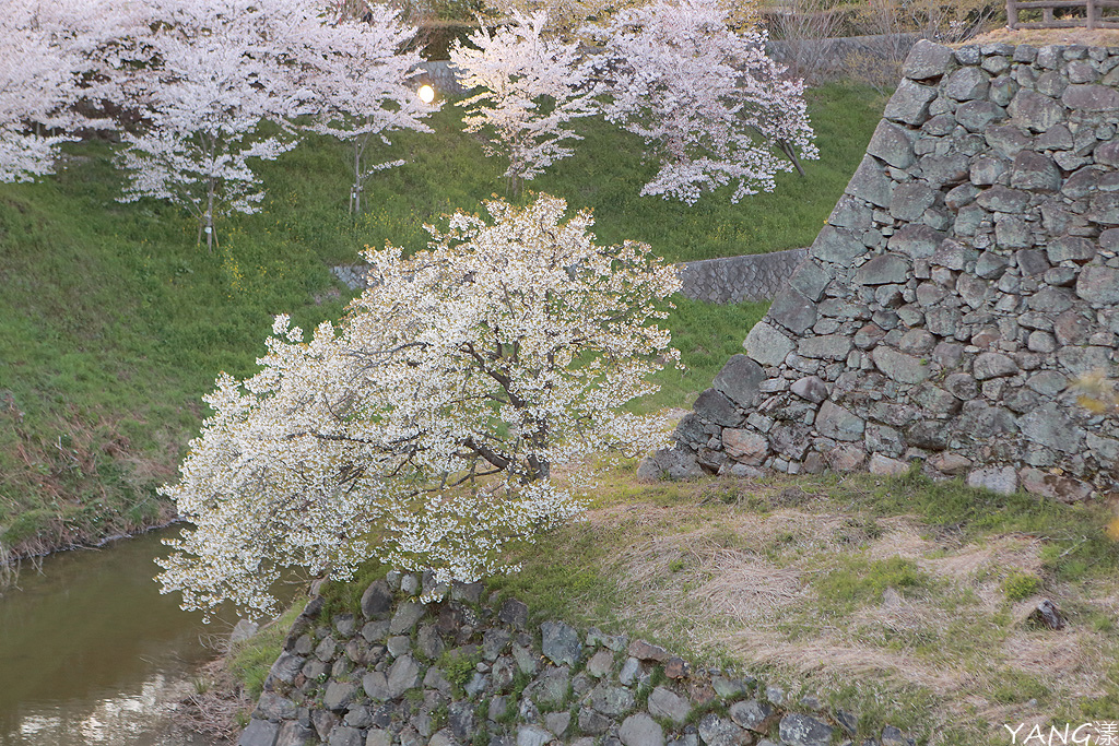 大和郡山城