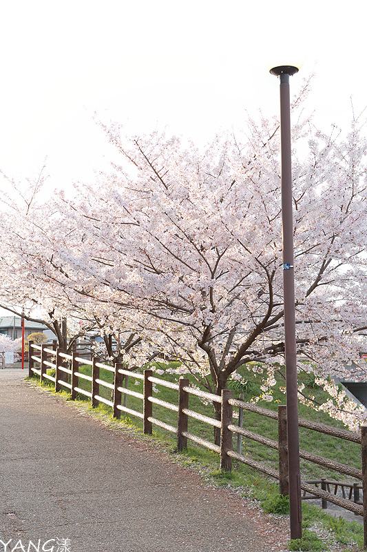 大和郡山城