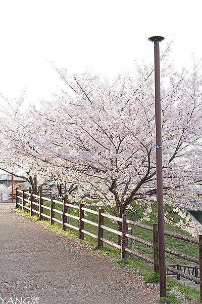 大和郡山城